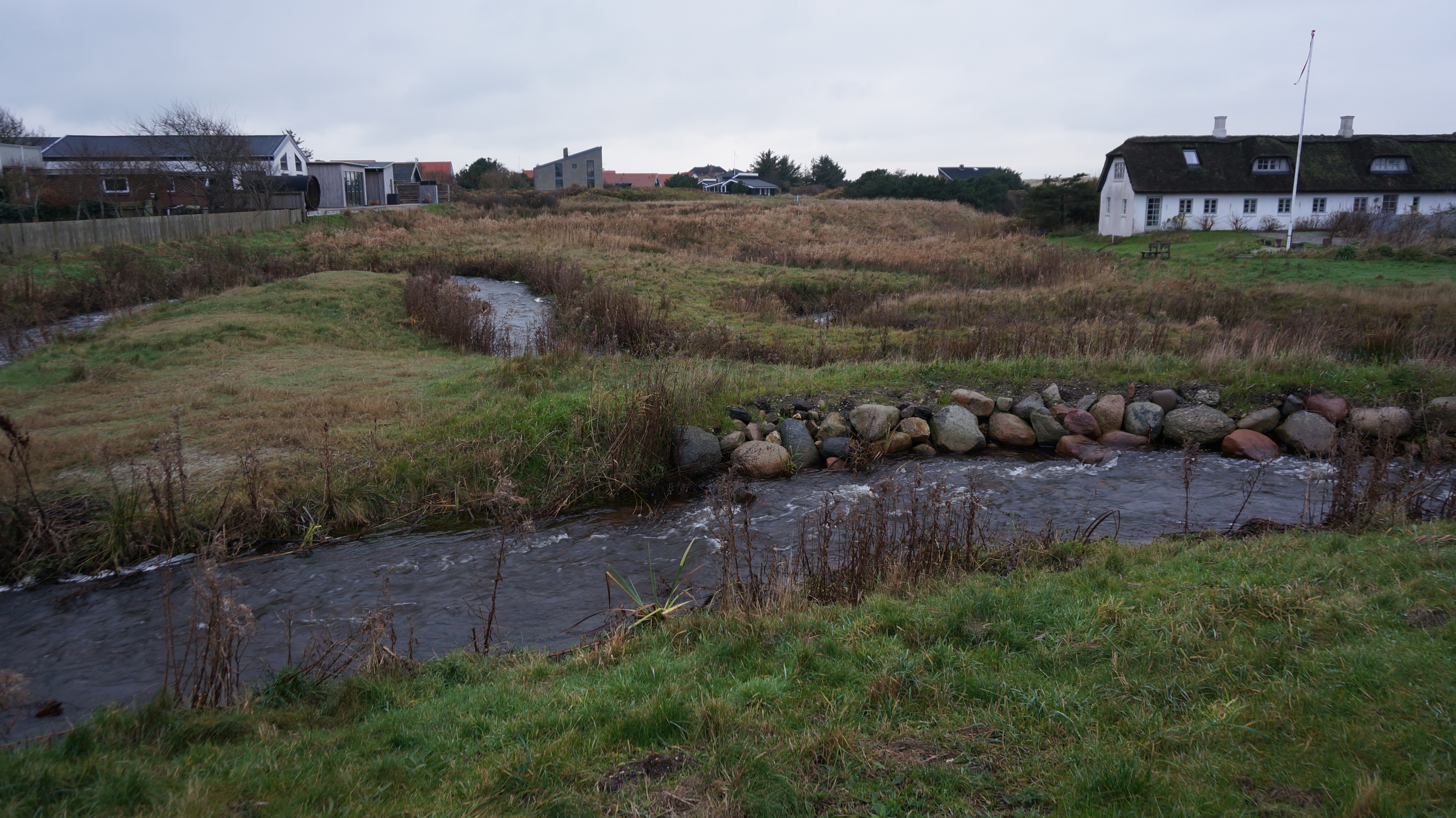 Klitmøller ved den gamle mølle (Vestermøllevej)